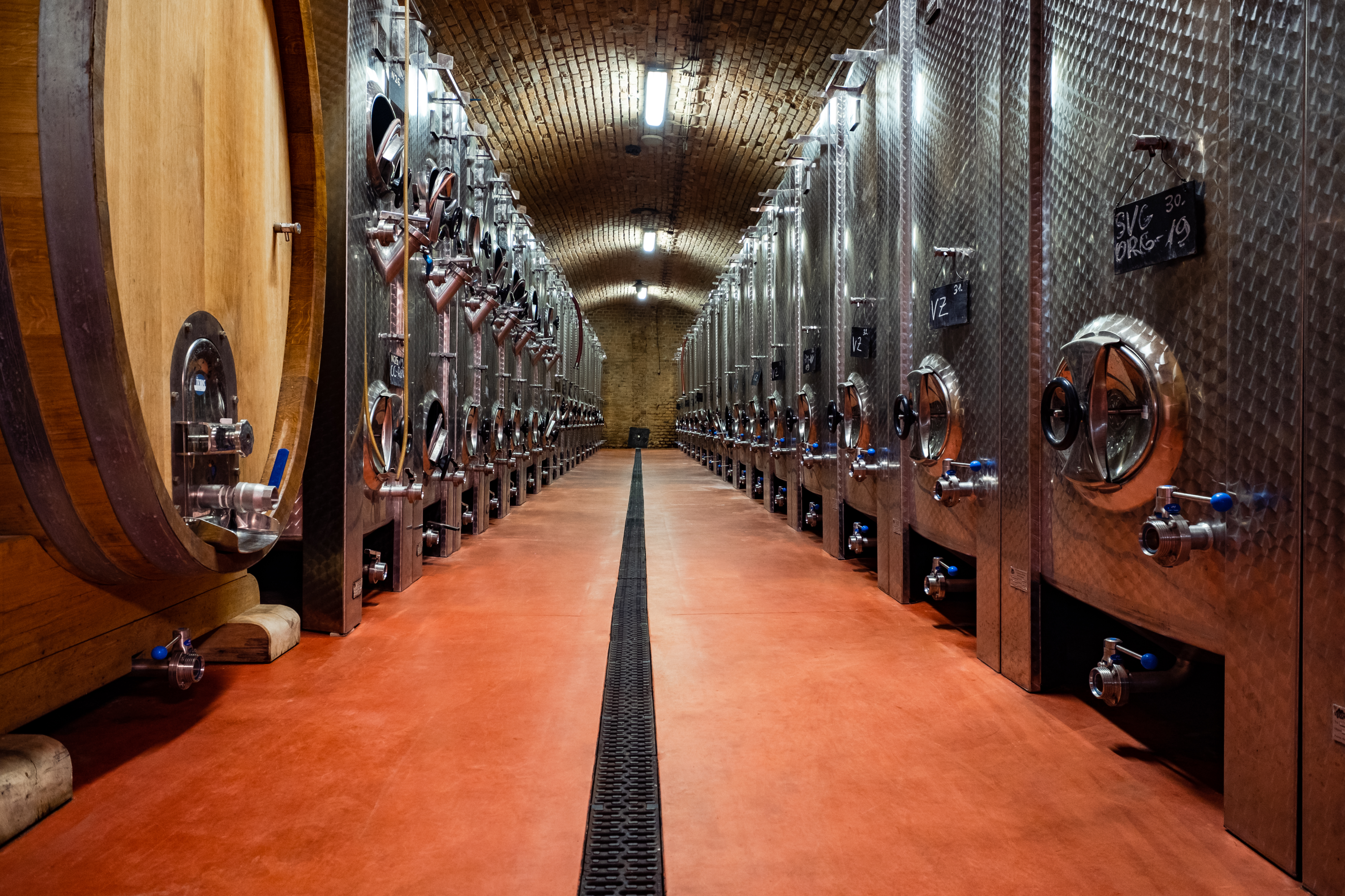  Wine production cellar, Blatnička (CZ)