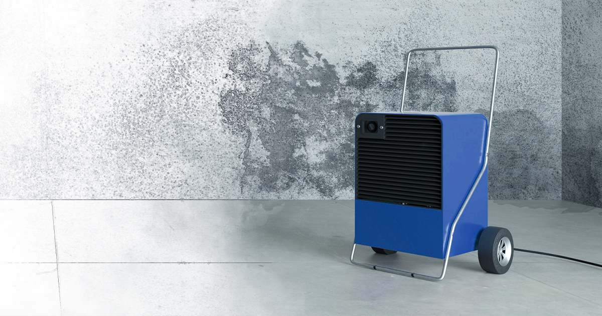 Facebook_basement renovation_Post2_1200x630_c-Composing.jpg