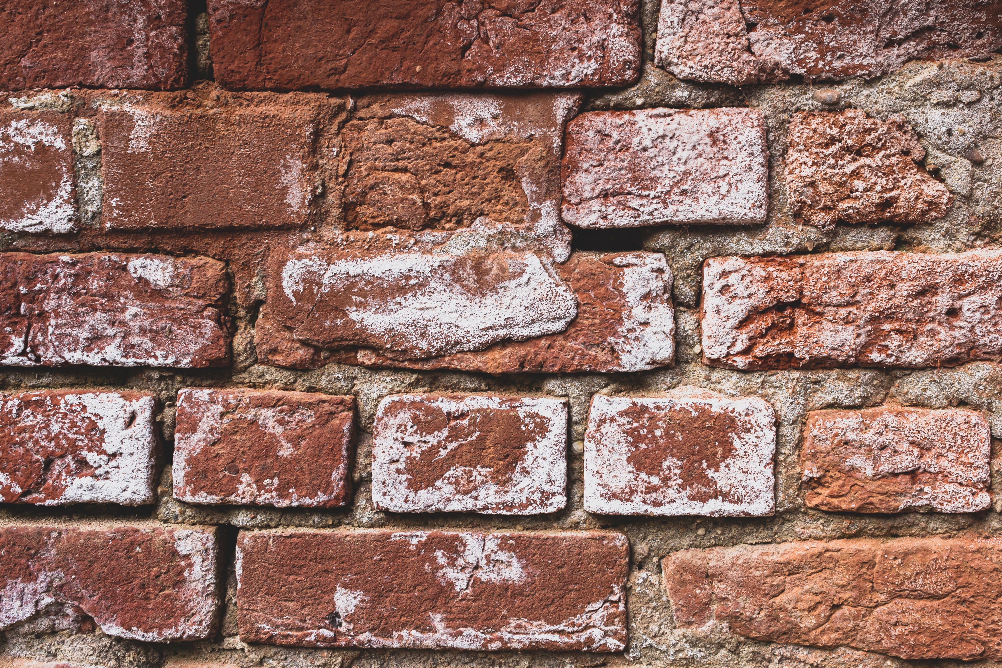 Tuz giderme ve temizlik