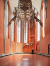 Deutsches Meeresmuseum Stralsund