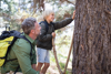 Vater und Sohn beobachten einen Baumstamm im Wald