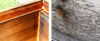 Bilder_Beuten_ImkerPippir_1110x452_c-Jochen_2.jpg